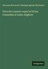 Giovanni Boccaccio, Giuseppe Ignazio Montanari - Fiore del comento sopra la Divina Commedia di Dante Alighieri