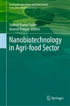 Avnesh kumari, Sudesh Kumar Yadav - Nanobiotechnology in Agri-food Sector