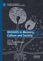 Bollas, Angelos Bollas, Alicia Castillo Villanueva - HIV/AIDS in Memory, Culture and Society
