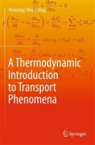 Henning Struchtrup - A Thermodynamic Introduction to Transport Phenomena
