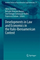 Enrique Sotomayor Trelles, Francesco Ferraro, Betzabé Marciani Burgos, José Enrique Sotomayor Trelles, Silvia Zorzetto - Developments in Law and Economics in the Italo-Iberoamerican Context