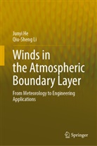 Junyi He, Qiu-Sheng Li - Winds in the Atmospheric Boundary Layer