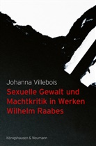 Johanna Villebois - Sexuelle Gewalt und Machtkritik in Werken Wilhelm Raabes