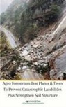 Agro Forestrium - Agro Forestrium Best Plants & Trees To Prevent Catastrophic Landslides Plus Strengthen Soil Structure
