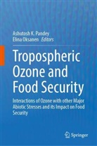 Ashutosh K Pandey, Oksanen, Elina Oksanen, Ashutosh K. Pandey - Tropospheric Ozone and Food Security