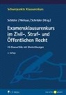Jan Schröder (Prof. Dr, Holger Niehaus, Holger Niehaus (Prof. Dr.), Wilfried Schlüter, Ulrich Jan Schröder - Examensklausurenkurs im Zivil-, Straf- und Öffentlichen Recht