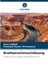 Arun Lakkad, Prashant Kumar Shrivastava - Bruttoerosionsschätzung