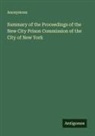 Anonymous - Summary of the Proceedings of the New City Prison Commission of the City of New York