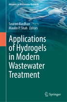 Souravi Bardhan, P Shah, Maulin P. Shah - Applications of Hydrogels in Modern Wastewater Treatment