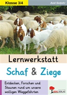 Axel Gutjahr - Lernwerkstatt Schaf und Ziege