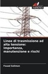 Fouad Soliman - Linee di trasmissione ad alta tensione: importanza, manutenzione e rischi
