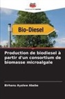 Birhanu Ayalew Abebe - Production de biodiesel à partir d'un consortium de biomasse microalgale