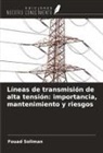 Fouad Soliman - Líneas de transmisión de alta tensión: importancia, mantenimiento y riesgos