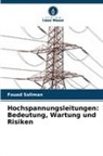 Fouad Soliman - Hochspannungsleitungen: Bedeutung, Wartung und Risiken
