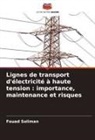 Fouad Soliman - Lignes de transport d'électricité à haute tension : importance, maintenance et risques