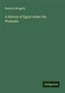 Heinrich Brugsch - A History of Egypt under the Pharaohs