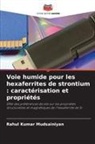 Rahul Kumar Mudsainiyan - Voie humide pour les hexaferrites de strontium : caractérisation et propriétés