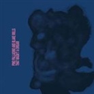 Blake Mills, Pino Palladino - That Wasn't a Dream (Audio book)