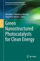 Hussain, Chaudhery Mustansar Hussain, Ghazanfar Hussain, Chaudhery Mustansar Hussain - Green Nanostructured Photocatalysts for Clean Energy