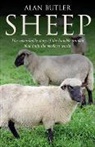 Alan Butler - Sheep – The remarkable story of the humble animal that built the modern world