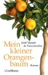 José Mauro de Vasconcelos - Mein kleiner Orangenbaum