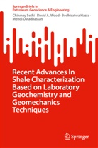 Bodhisatwa Hazra, Bodhisatwa et Hazra, Mehdi Ostadhassan, Chinmay Sethi, David A Wood, David A. Wood - Recent Advances In Shale Characterization Based on Laboratory Geochemistry and Geomechanics Techniques