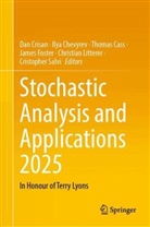 Thomas Cass, Thomas Cass et al, Ilya Chevyrev, Dan Crisan, James Foster, Christian Litterer... - Stochastic Analysis and Applications 2025