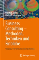 Christian Aichele, Schönberger, Marius Schönberger - Business Consulting - Methoden, Techniken und Einblicke