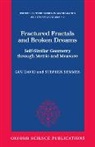 David Guy, Stephen Semmes - Fractured Fractals and Broken Dreams