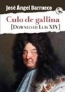 José Ángel Barrueco - Culo de gallina : [Download Luis XIV]