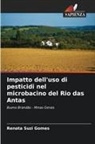Renata Suzi Gomes - Impatto dell'uso di pesticidi nel microbacino del Rio das Antas