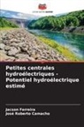 Jacson Ferreira, José Roberto Camacho - Petites centrales hydroélectriques - Potentiel hydroélectrique estimé