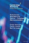 Önder Nomaler, Danilo Spinola, Verspagen Bart - Evolutionary Selection and Keynes–Schumpeter Macroeconomics