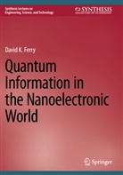 David K. Ferry - Quantum Information in the Nanoelectronic World