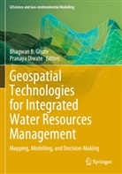 Pranaya Diwate, Bhagwan B. Ghute - Geospatial Technologies for Integrated Water Resources Management