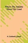 H. Caldwell Lipsett - Where the Atlantic meets the land