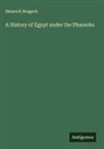 Heinrich Brugsch - A History of Egypt under the Pharaohs