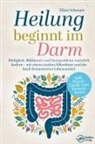 Elina Schwarz - Heilung beginnt im Darm: Müdigkeit, Blähbauch und Hautprobleme natürlich lindern - mit einem starken Mikrobiom und der Kraft fermentierter Lebensmittel