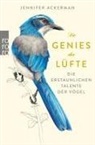 Jennifer Ackerman, John Burgoyne - Die Genies der Lüfte