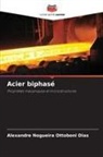 Alexandre Nogueira Ottoboni Dias - Acier biphasé