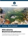 Antoine Caminiti, Antoine Marie Caminiti - Mikrobielle Biomineralisationen