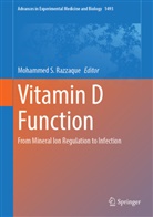 Mohammed S. Razzaque, Mohammed S Razzaque - Vitamin D Function