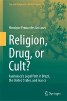 Henrique Fernandes Antunes - Religion, Drug, or Cult?
