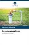Narsimha Adimalla - Grundwasserfluss