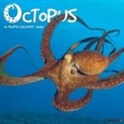 Willow Creek Press - Octopus 12 X 12 Wall Calendar