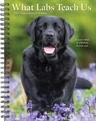 Willow Creek Press - What Labs Teach Us 2026 6.5 X 8.5 Engagement Calendar