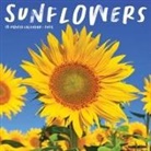 Willow Creek Press - Sunflowers 2026 12 X 12 Wall Calendar