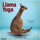 Willow Creek Press - Llama Yoga 2026 12 X 12 Wall Calendar