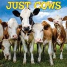 Willow Creek Press - Cows 2026 12 X 12 Wall Calendar