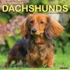 Willow Creek Press - Longhaired Dachshunds 12 X 12 Wall Calendar